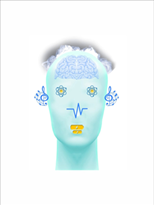 Teoria da Pilha Energética